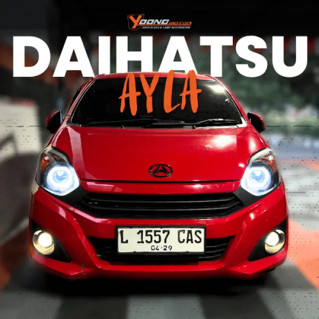 Ayla L 1557 Cas 1