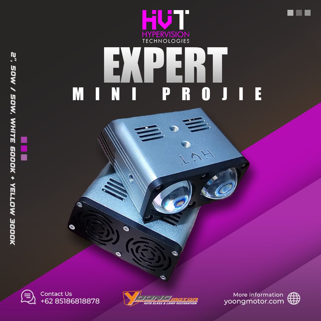 Mp Expert