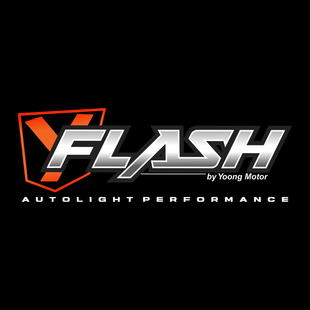 Flash Logo Black