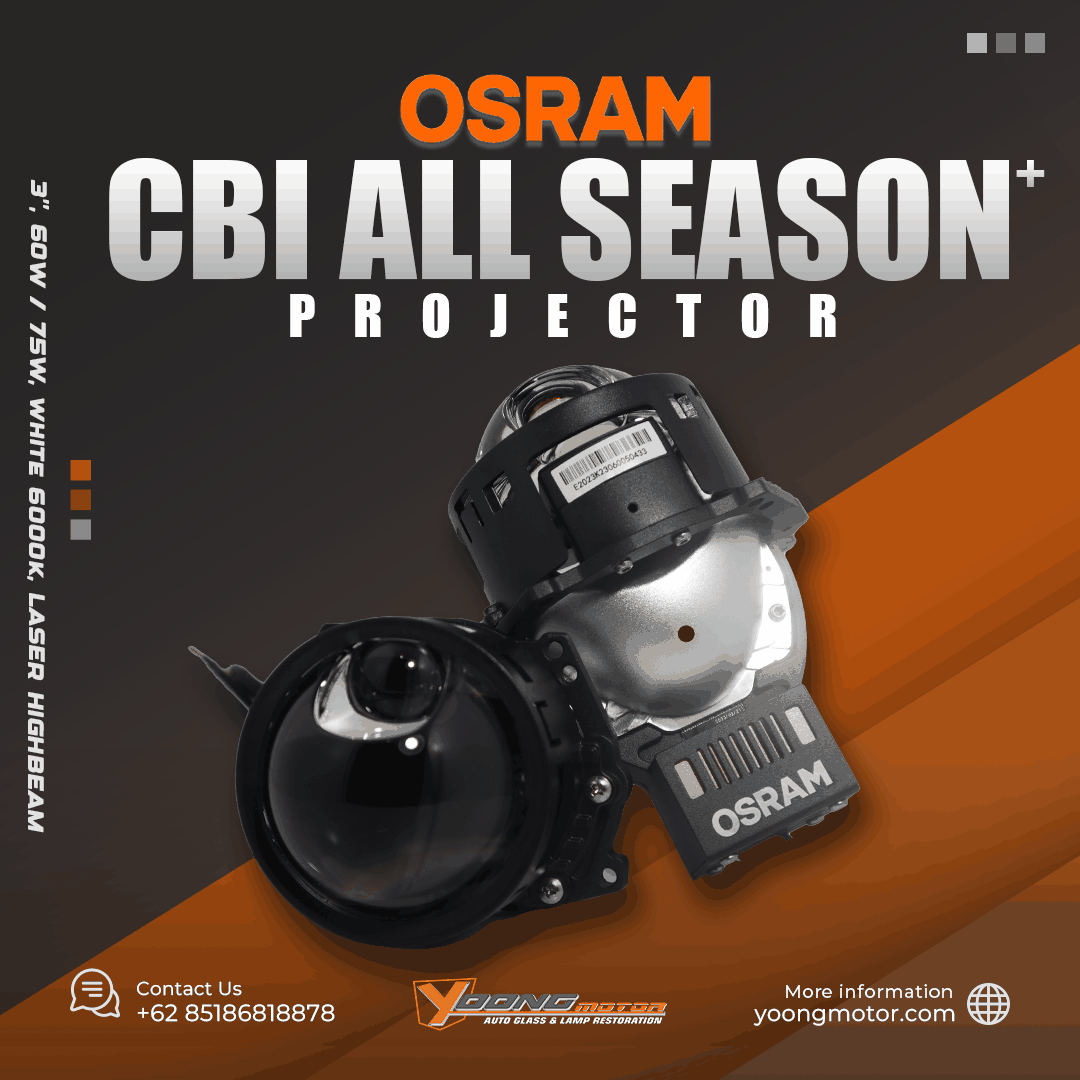 All Season