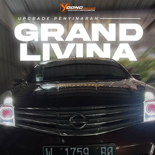 Livina Cover