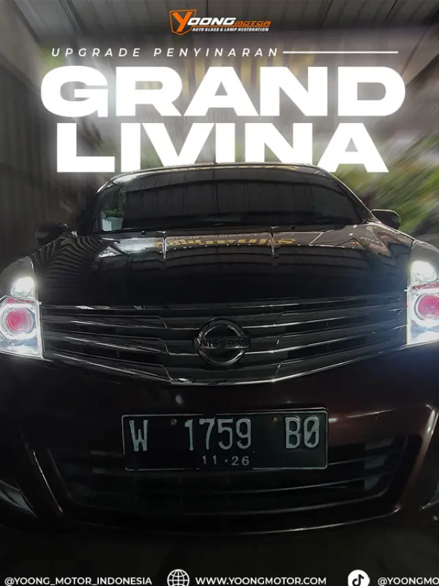 Livina Cover