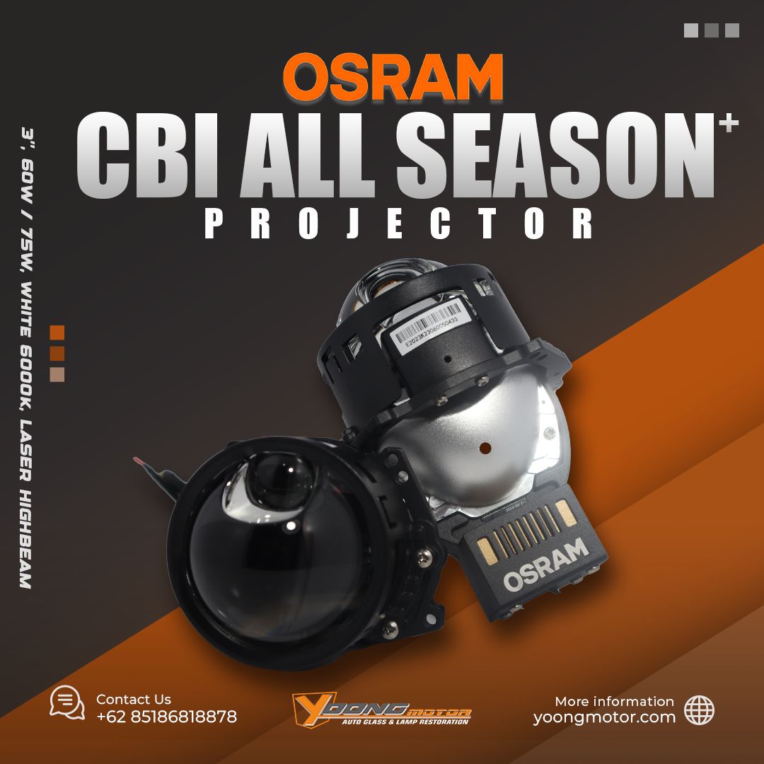 All Season