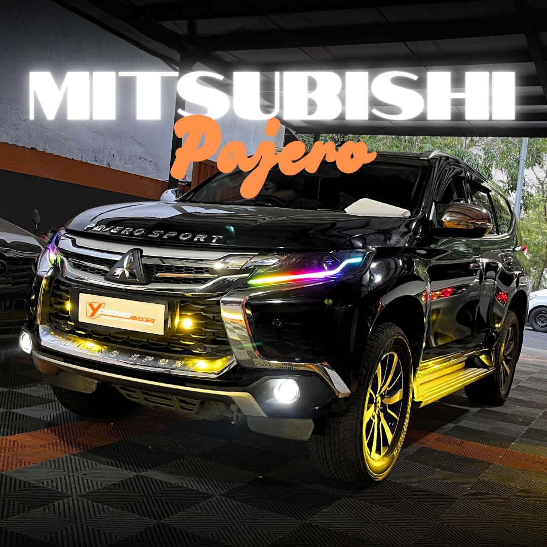 Pajero Matrix 1