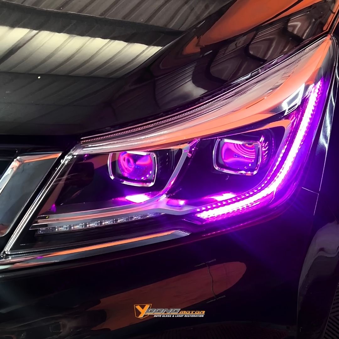 Cortez Purple 1