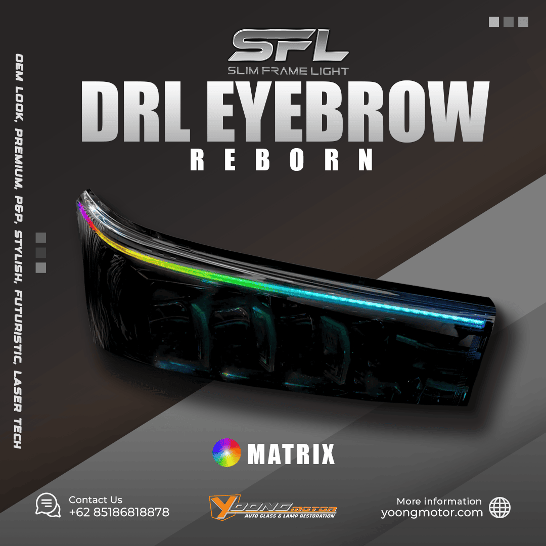 Reborn Drl