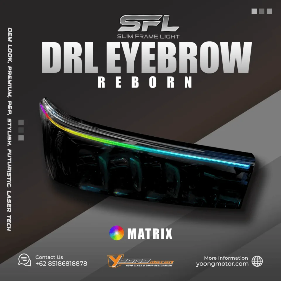 Reborn Drl