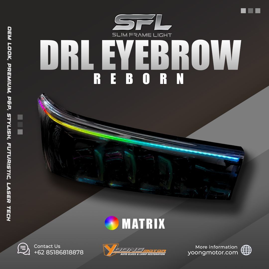 Reborn Drl