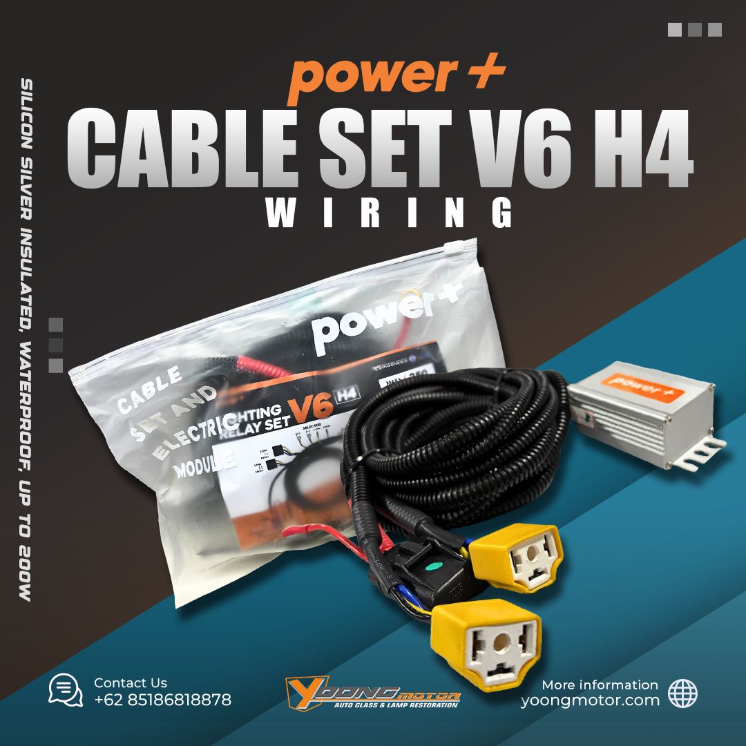 Cable Set V6 H4