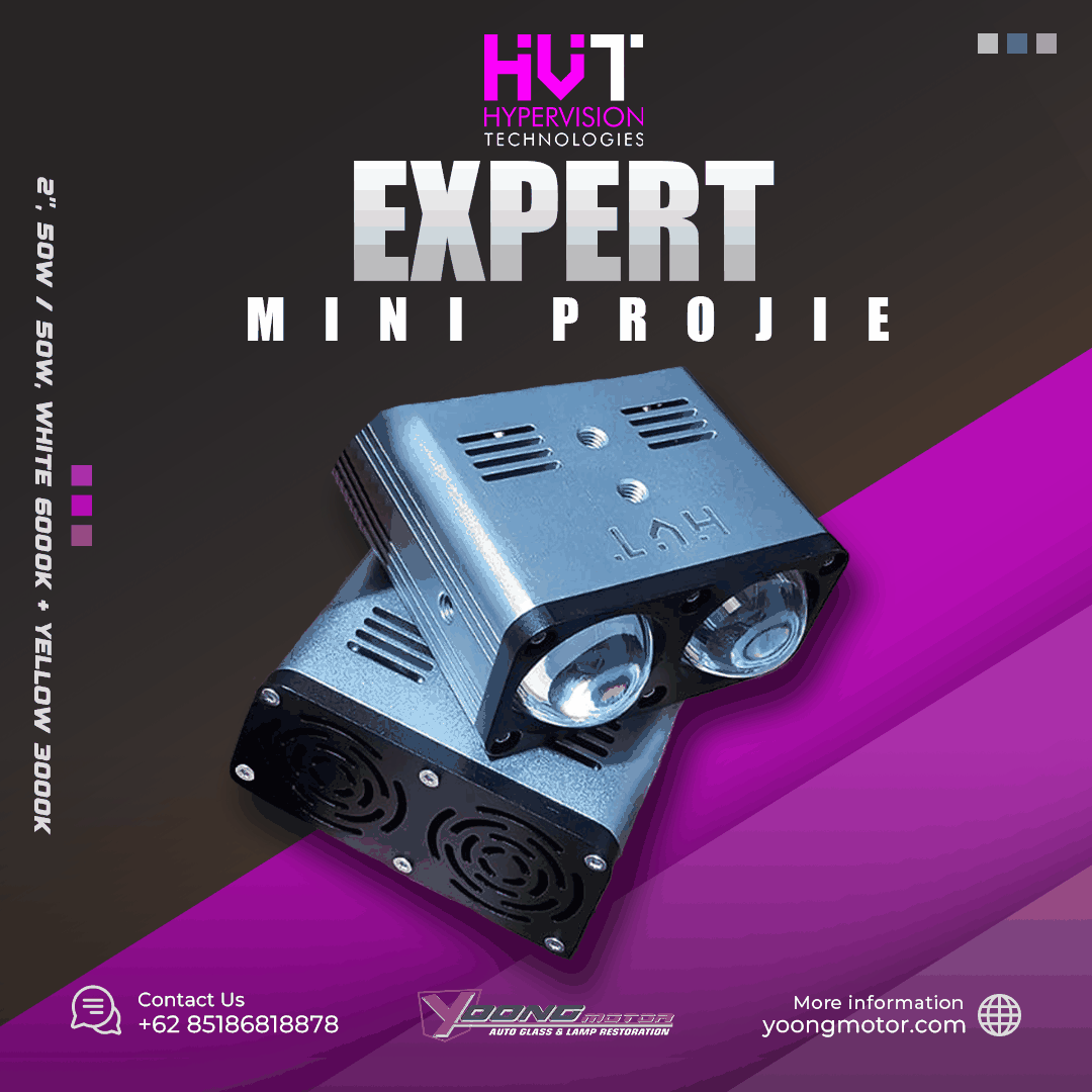 Mp Expert