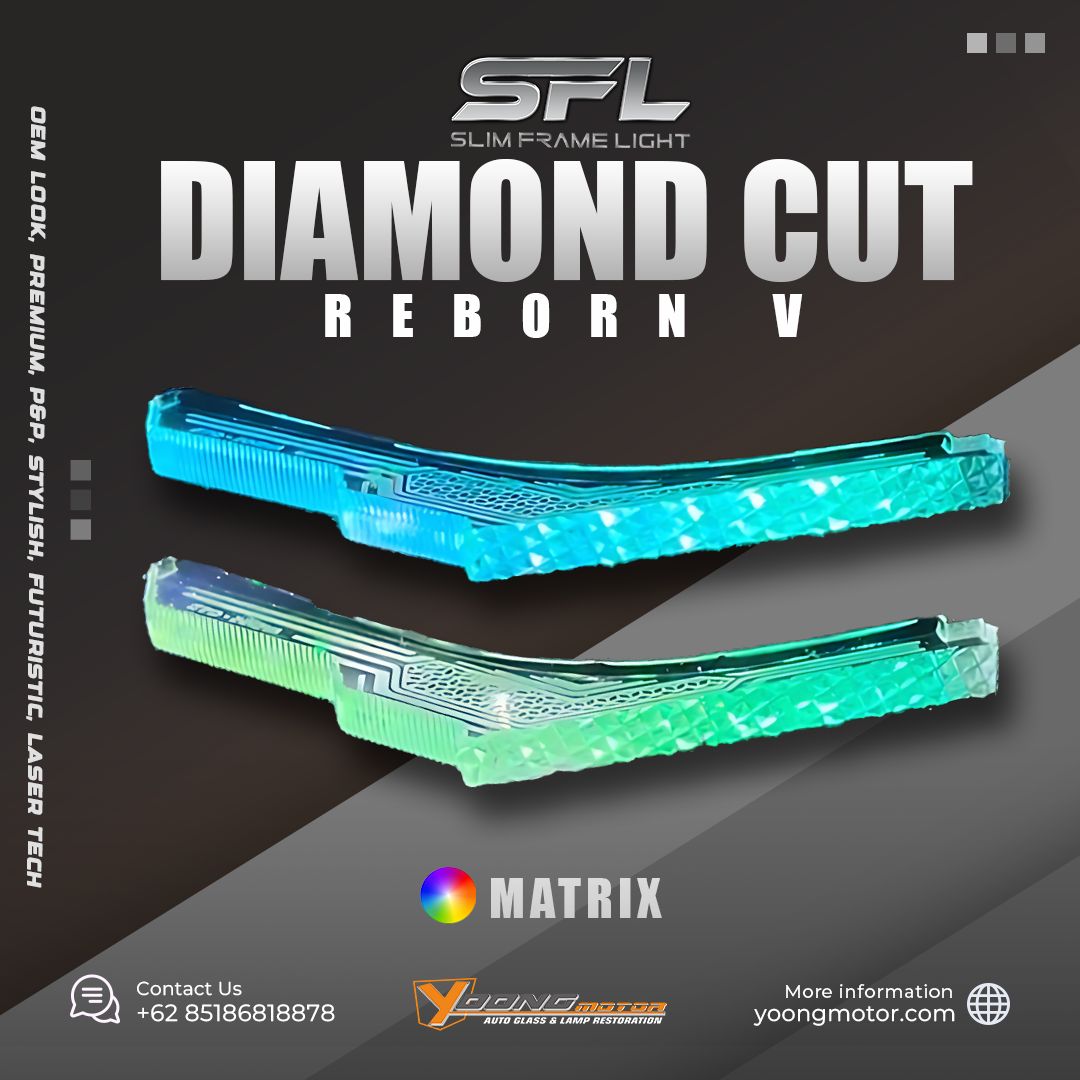 Diamond Cut Reborn V
