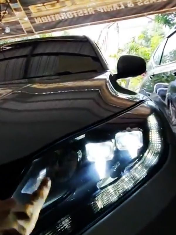 Yoong Hrv 5